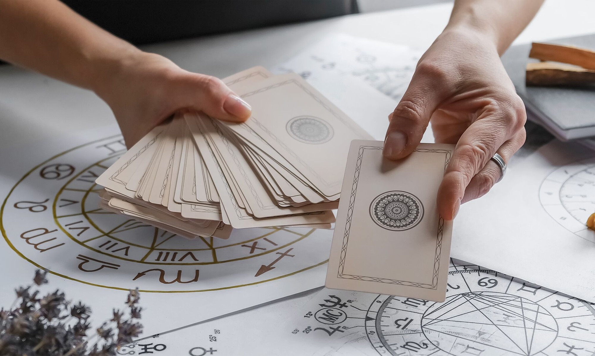 Tarot Guidance, Life Path Read, Astrological Destiny Forecast & More