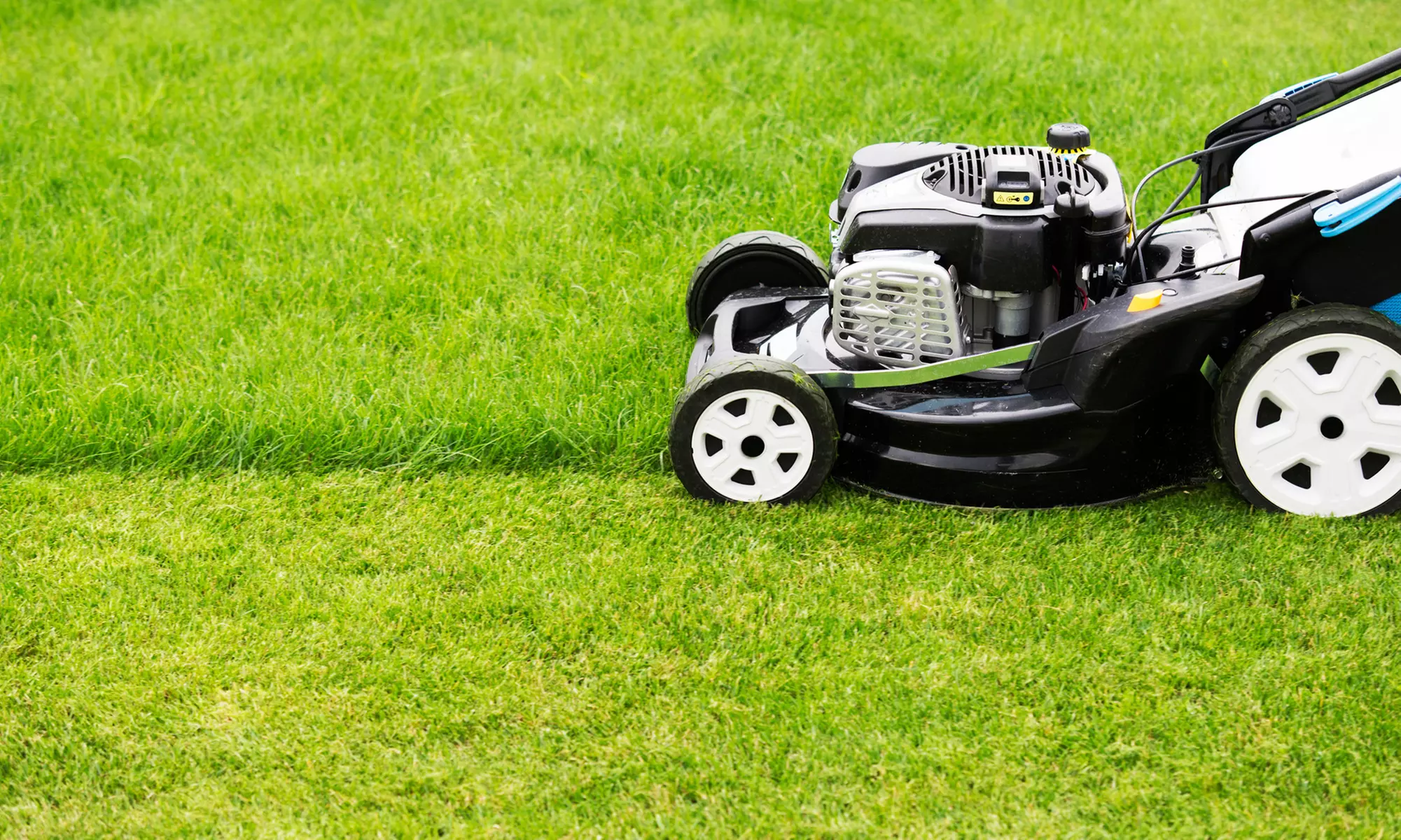 Lawn Mow & Edge for Small/Avg Yards or 3 Lawn Mows for Lawns Up to 1 Acre at Landscaping Ace(Up To 20% Off)