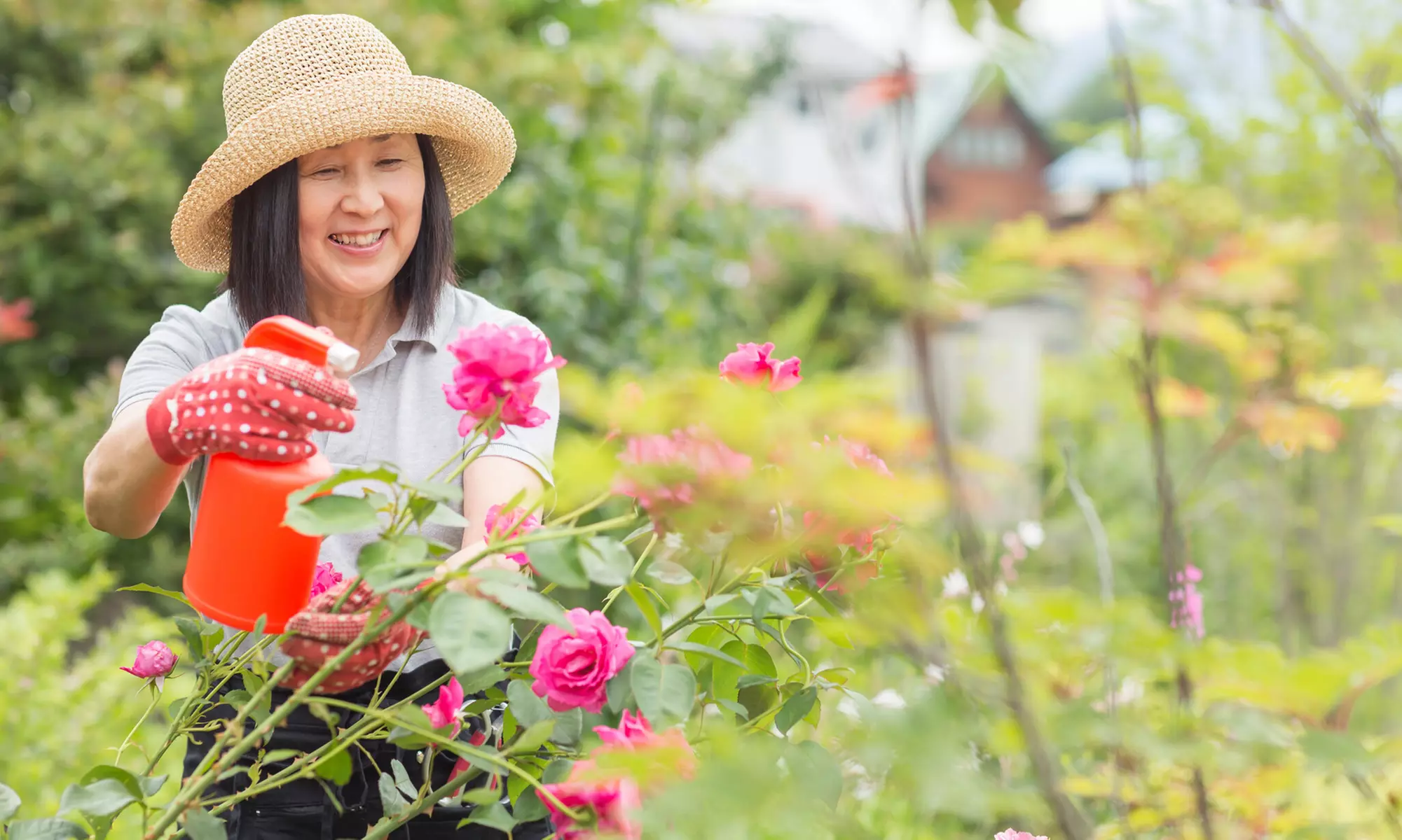 Gardening for Beginners; Houseplants, Succulents, Pruning, and Easy-To-Grow Veggies and Herbs! (97% Off) - Primary Image
