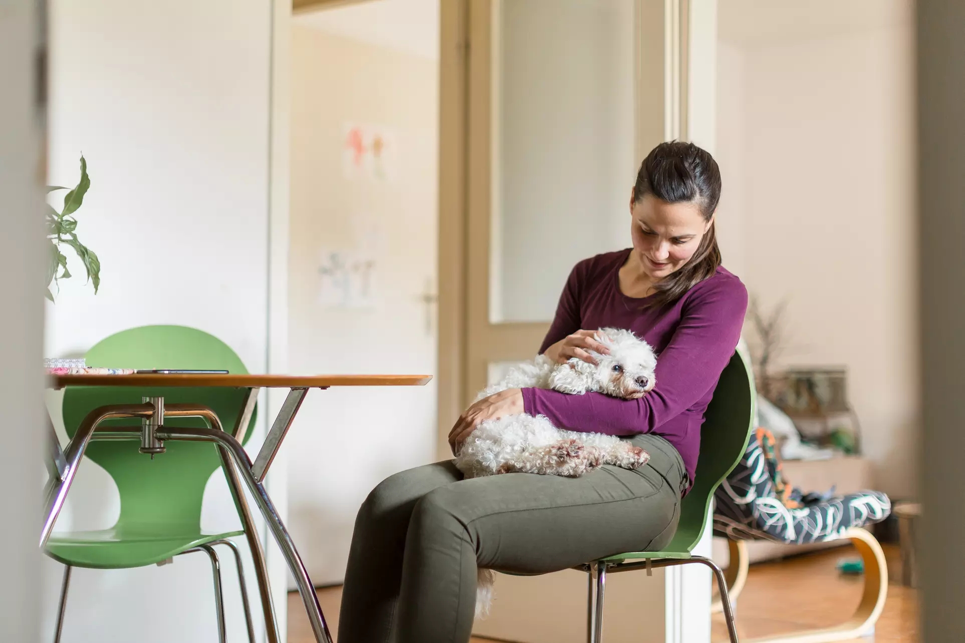 Get Radiant by Rina's Convenient Interior Smell Removal or Full Interior Pet Hair Removal - Up to 33% Of - Primary Image