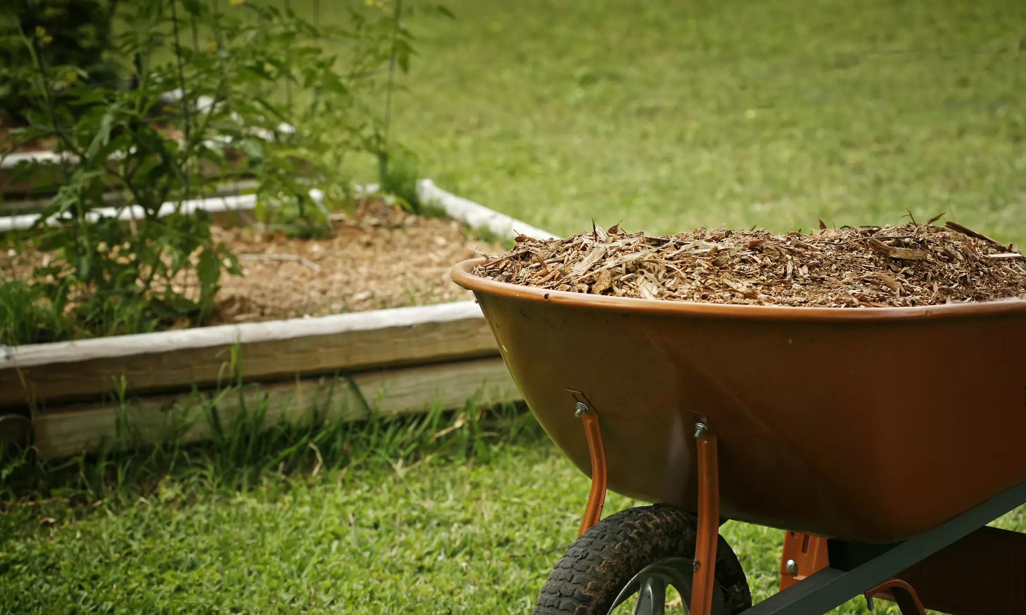 Up to 74% Off on Landscaping at Pro Mulching - Primary Image