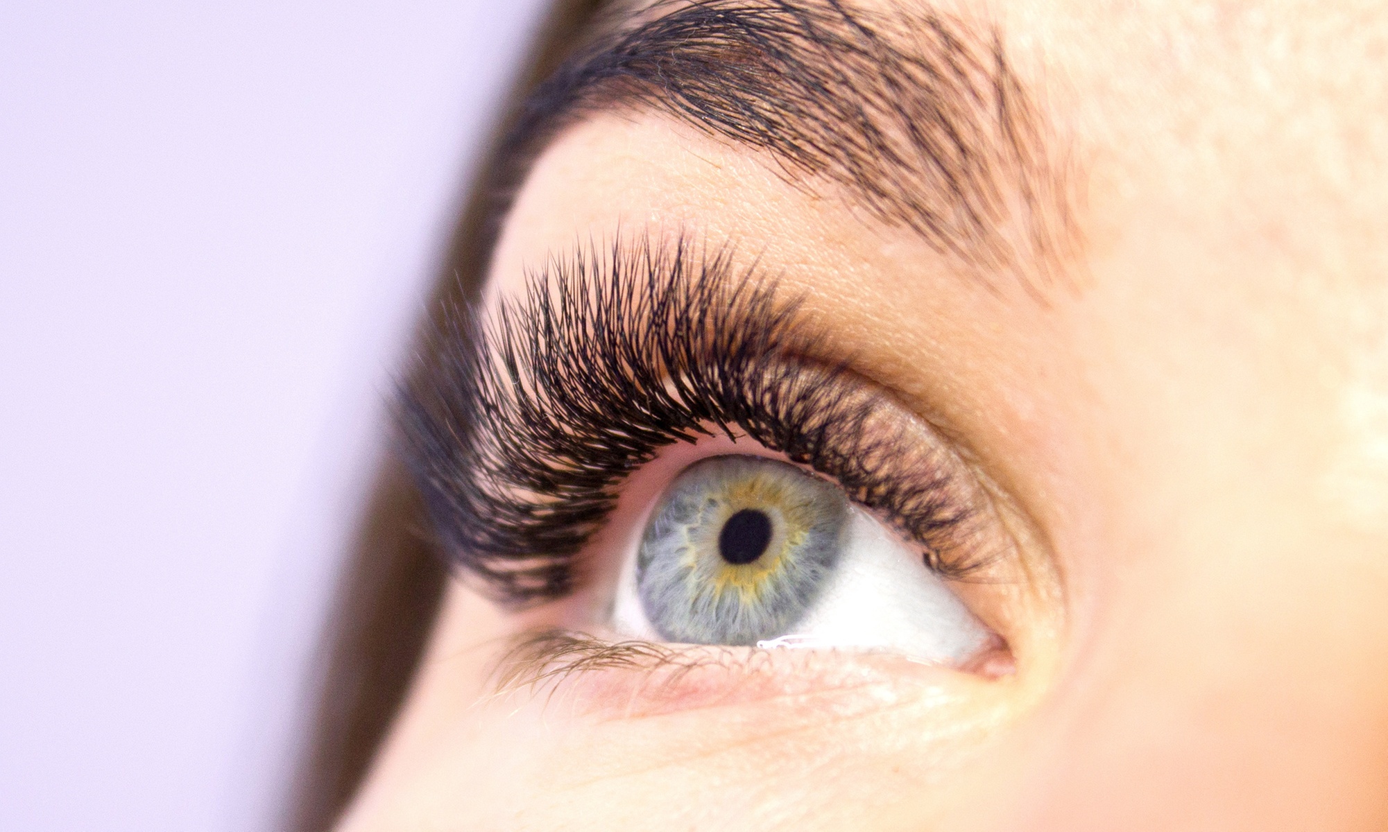 Up to 36% Off on Eyelash Tinting at Perfect Brows - 2063 Broadway