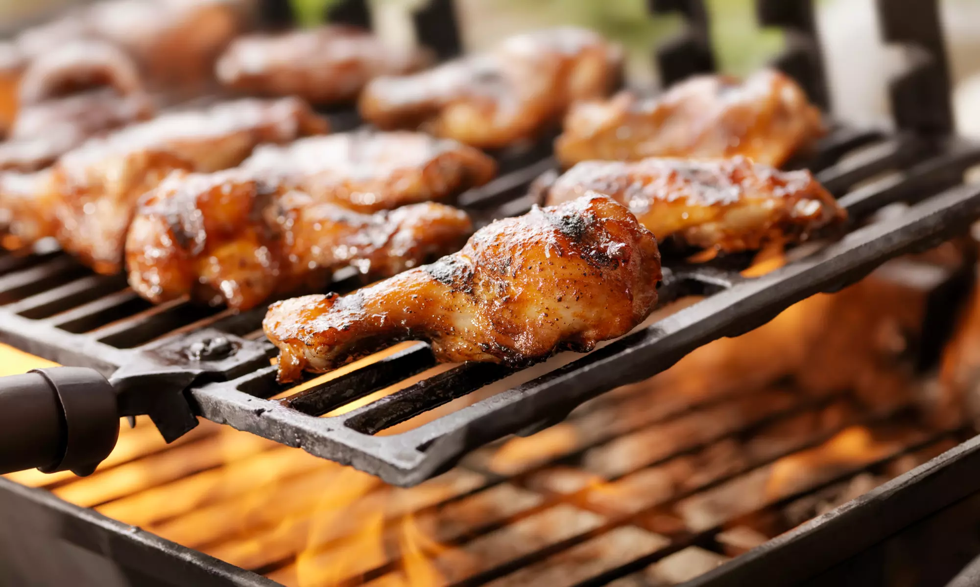 Credit Towards Food and Drink at Turkey Chop (Up to 25% Off) - Primary Image