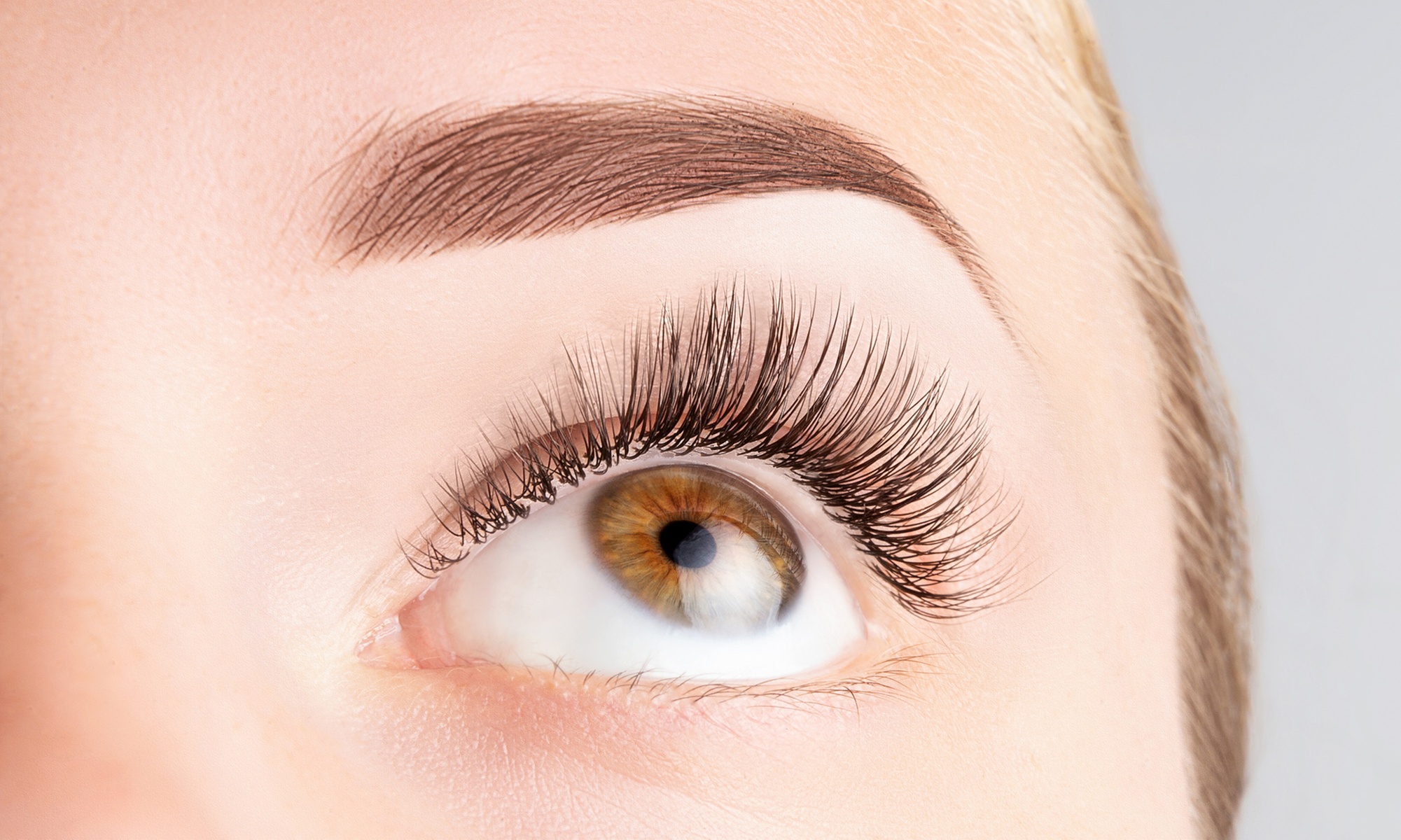 Explore Microblading and Brow Shading with Touchup Options