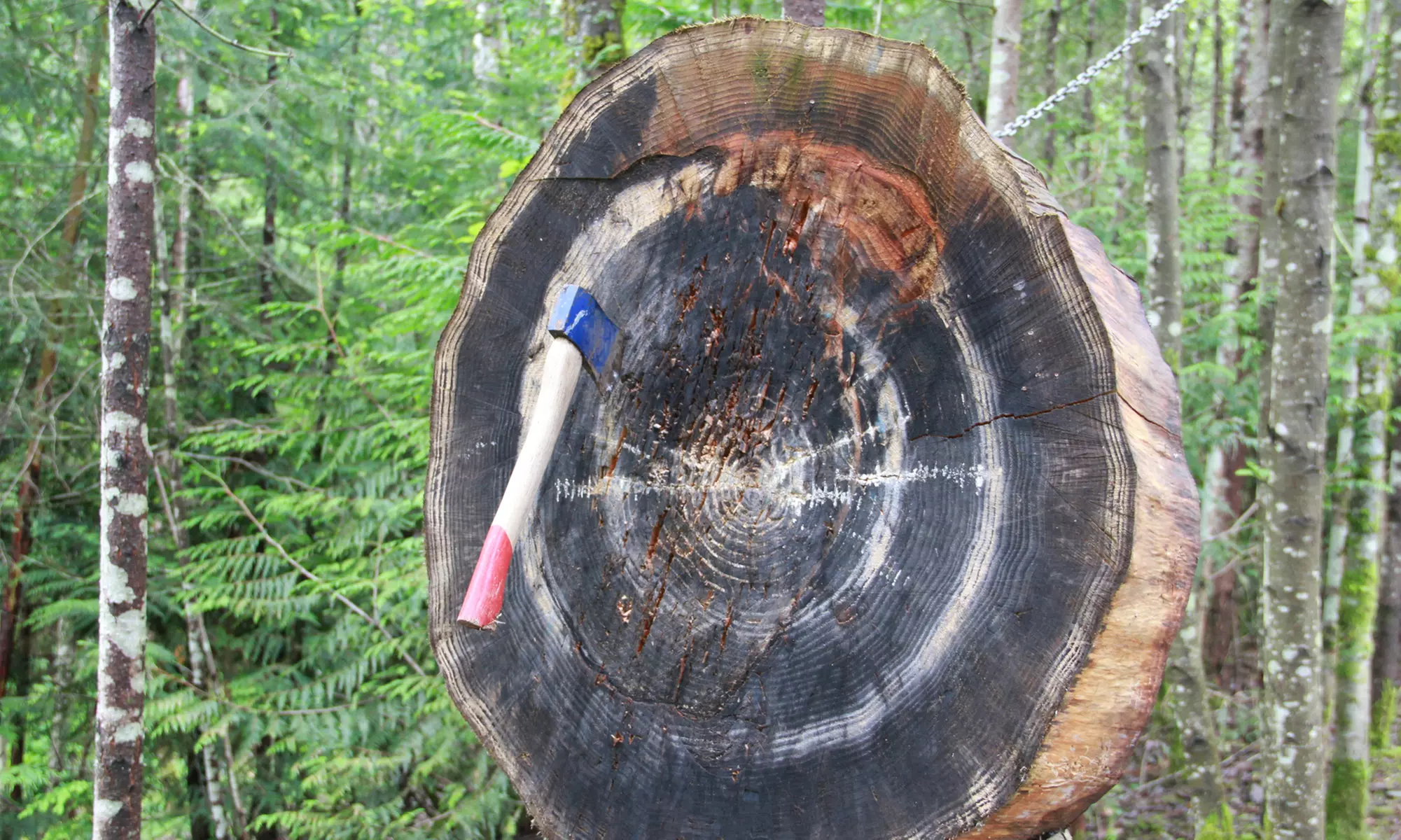 60-Minute Shared Lane Axe Throwing Fun for Two, Four, or Six; Not Valid on Fri, Sat, and Sun (Up to 37% Off) - Primary Image