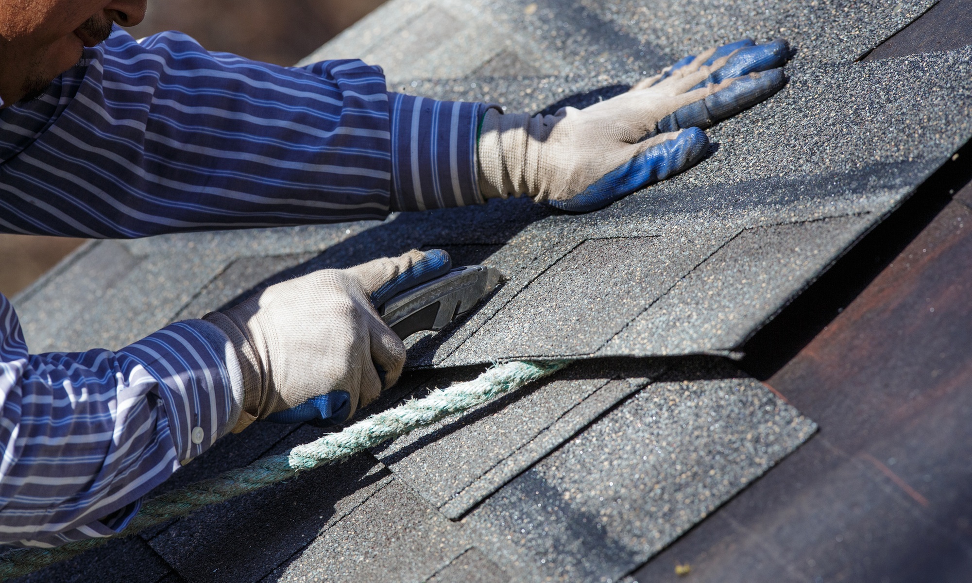 Explore Unique Knives with Our Automatic Selection (50% Off)