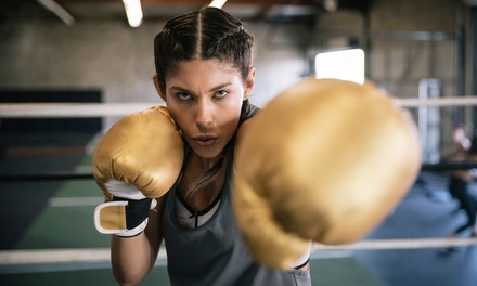 3 Classes + Gloves - Baltimore Martial Arts Academy