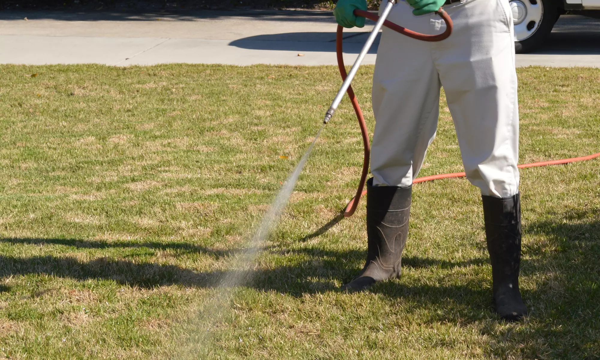 Up to 50% Off on Pest Control Service - General at T.E. PEST CONTROL - Primary Image