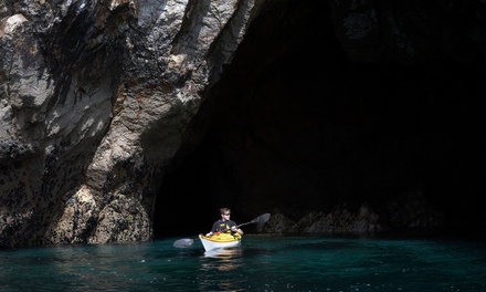 3 Hour Rosario Coastal Paddle Kayaking Tour for One Adult (18+) - Orcas Wild, Eastsound