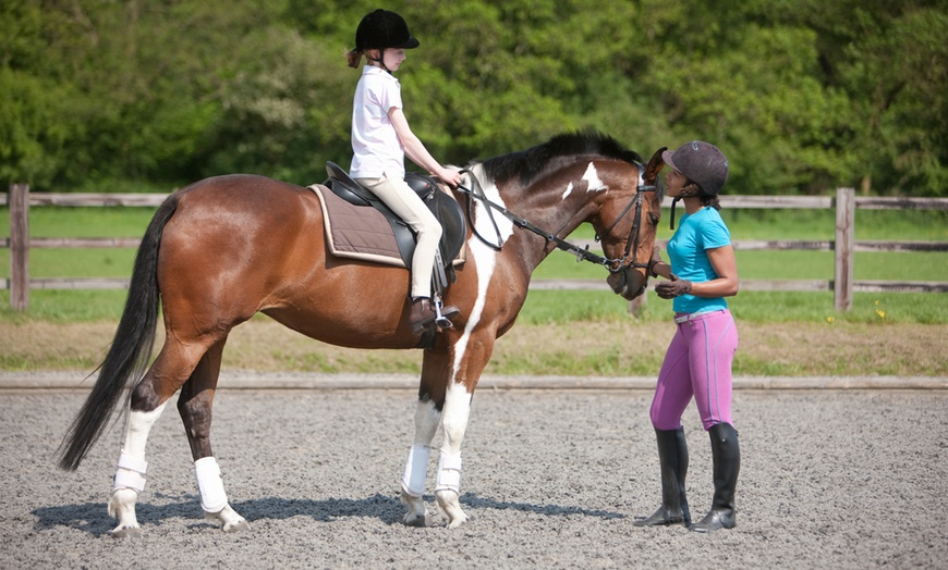 Image 1: Découverte de l'équitation au Haras des Bussières 