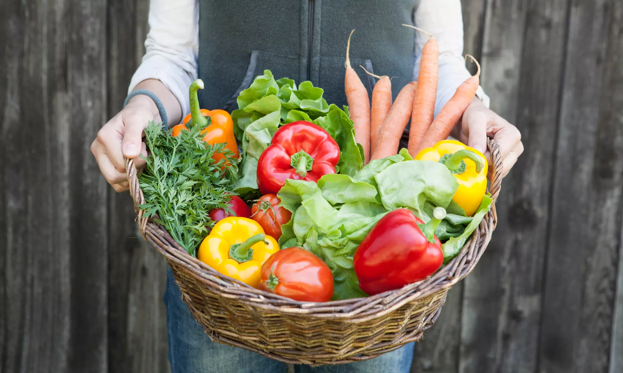 Intolerance Lab: Choice of Food Reaction Tests (Up to 49% Off) - Primary Image