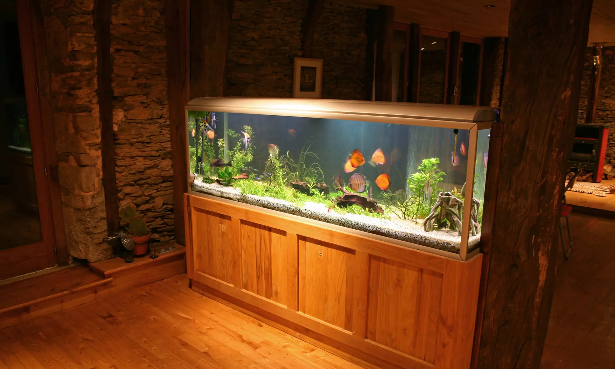 Up to 66% Off on Fish Tank Cleaning at Holistic Serene Healing - Primary Image