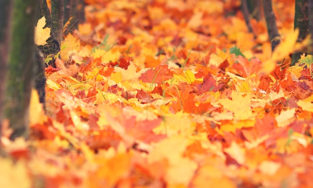 What to expect media