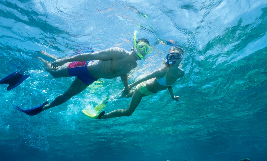 Image 1: Snorkel Oahu’s reefs on a wild 2-hour Waikiki Adventure