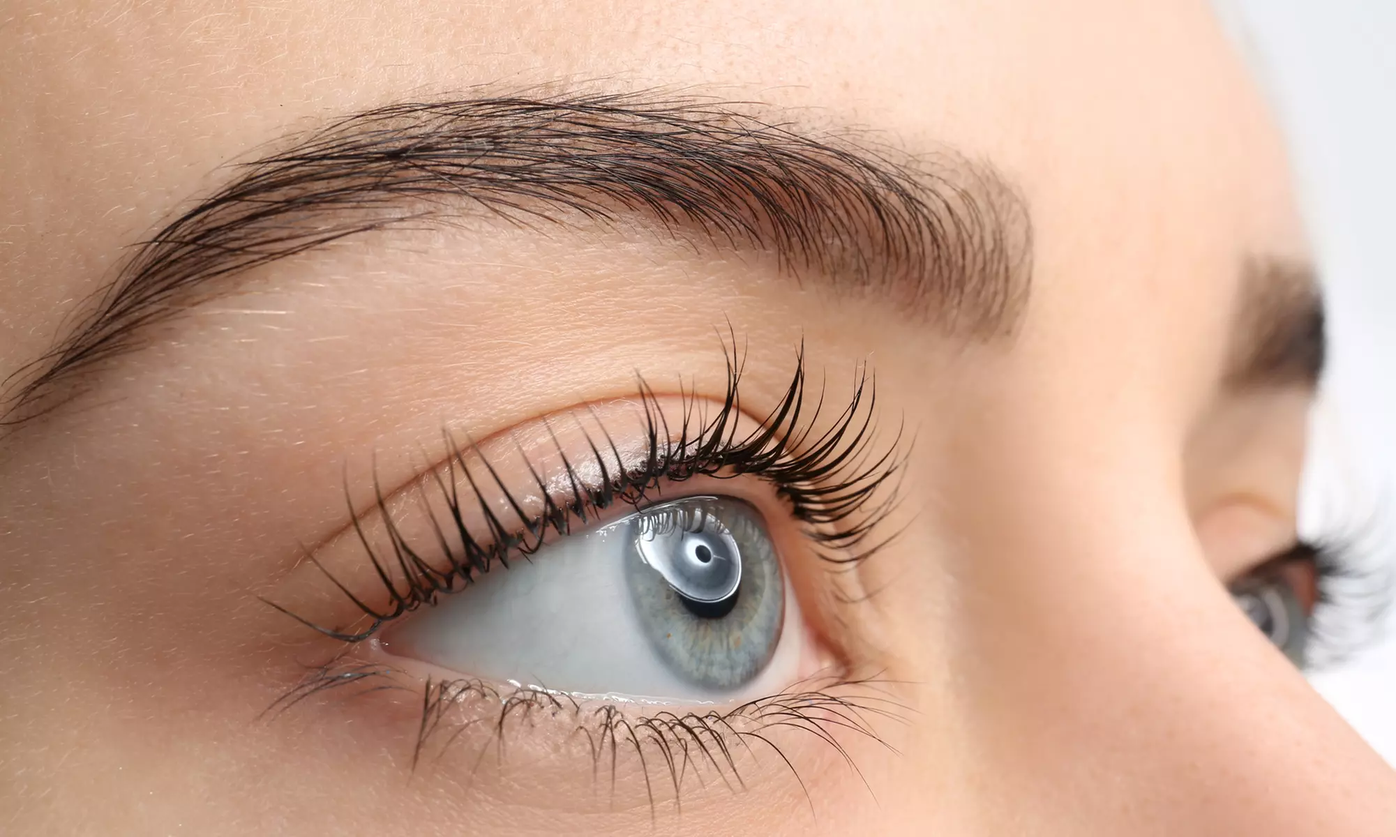 Wimpern-Lifting und / oder Augenbrauen-Lifting mit Färben für 1 Person