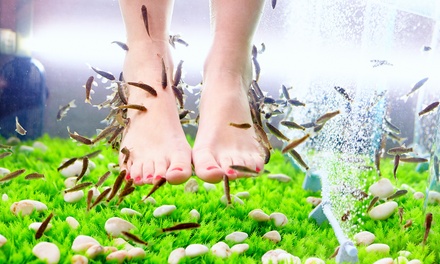 Für 1 Person: 30 Min. Fisch-Spa-Programm inkl. 15 Min. entspannender Fuß-Massage - FishSpa Leonberg im Sanitätshaus Arnold
