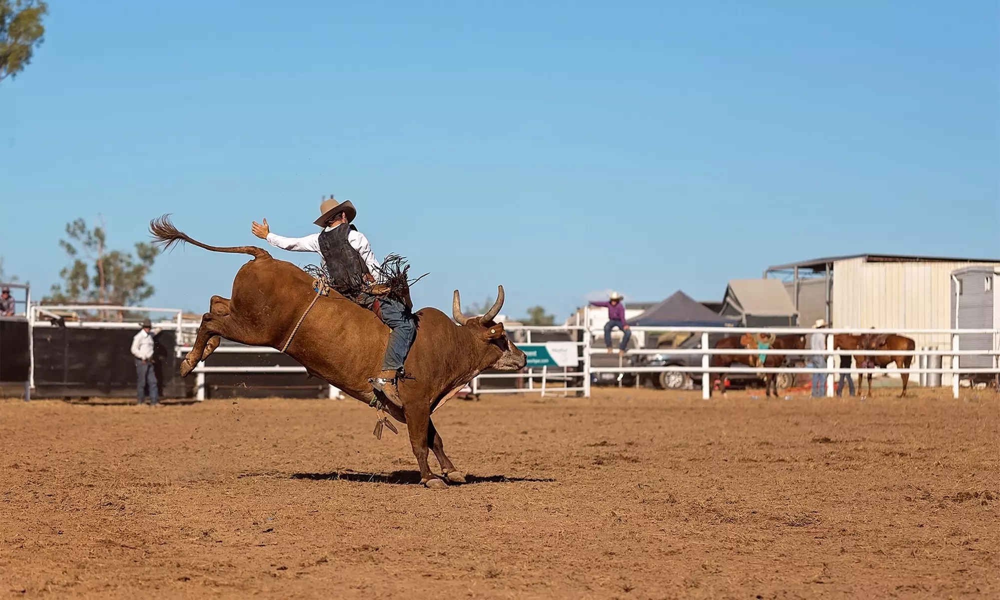 PBR - Pendleton Whisky Velocity Tour - Mar 16, 2024, 7:00 PM - Primary Image