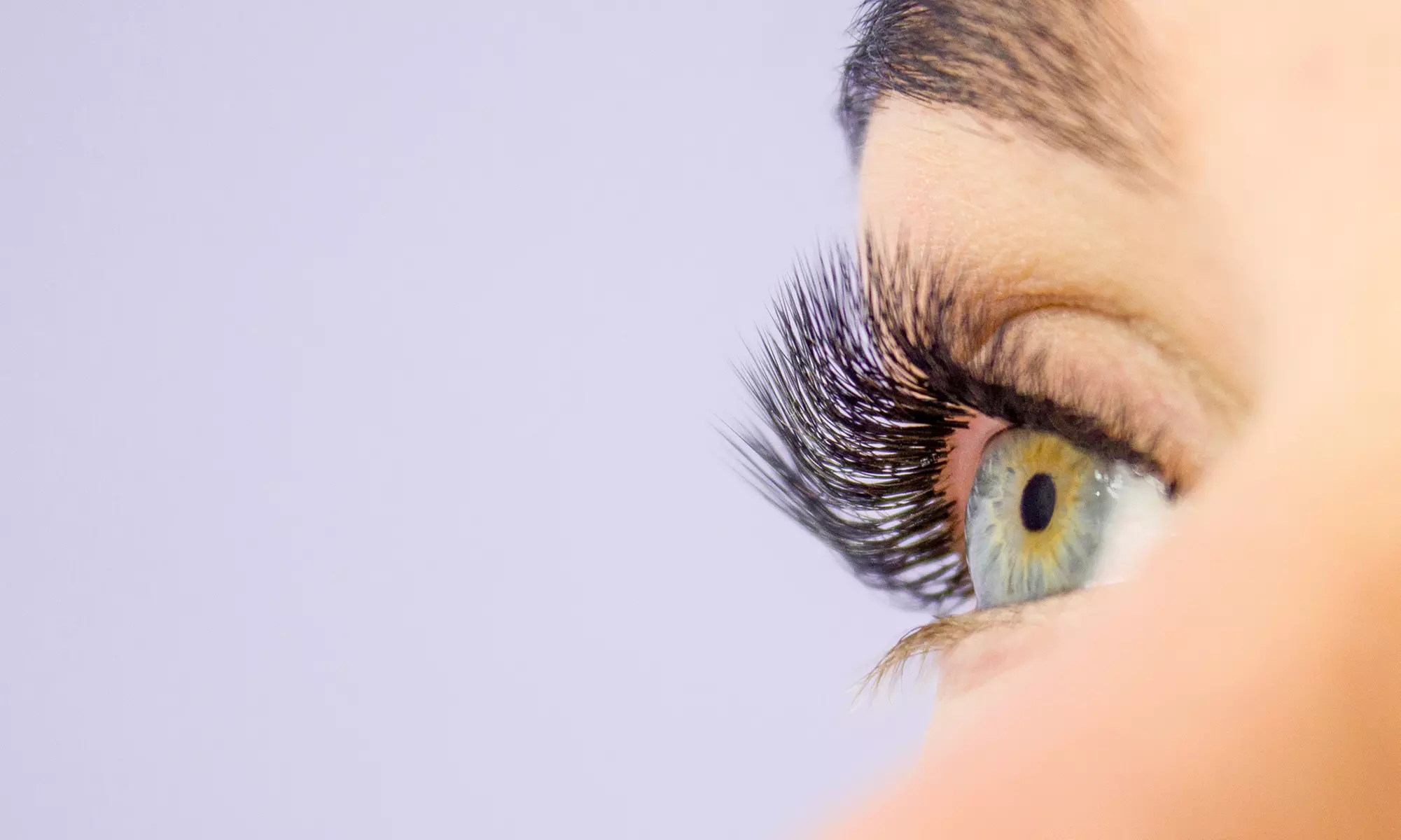 Lash Lifting or Brow Lamination for One Person at Hair Focus Salon (Up to 76% Off) - Primary Image