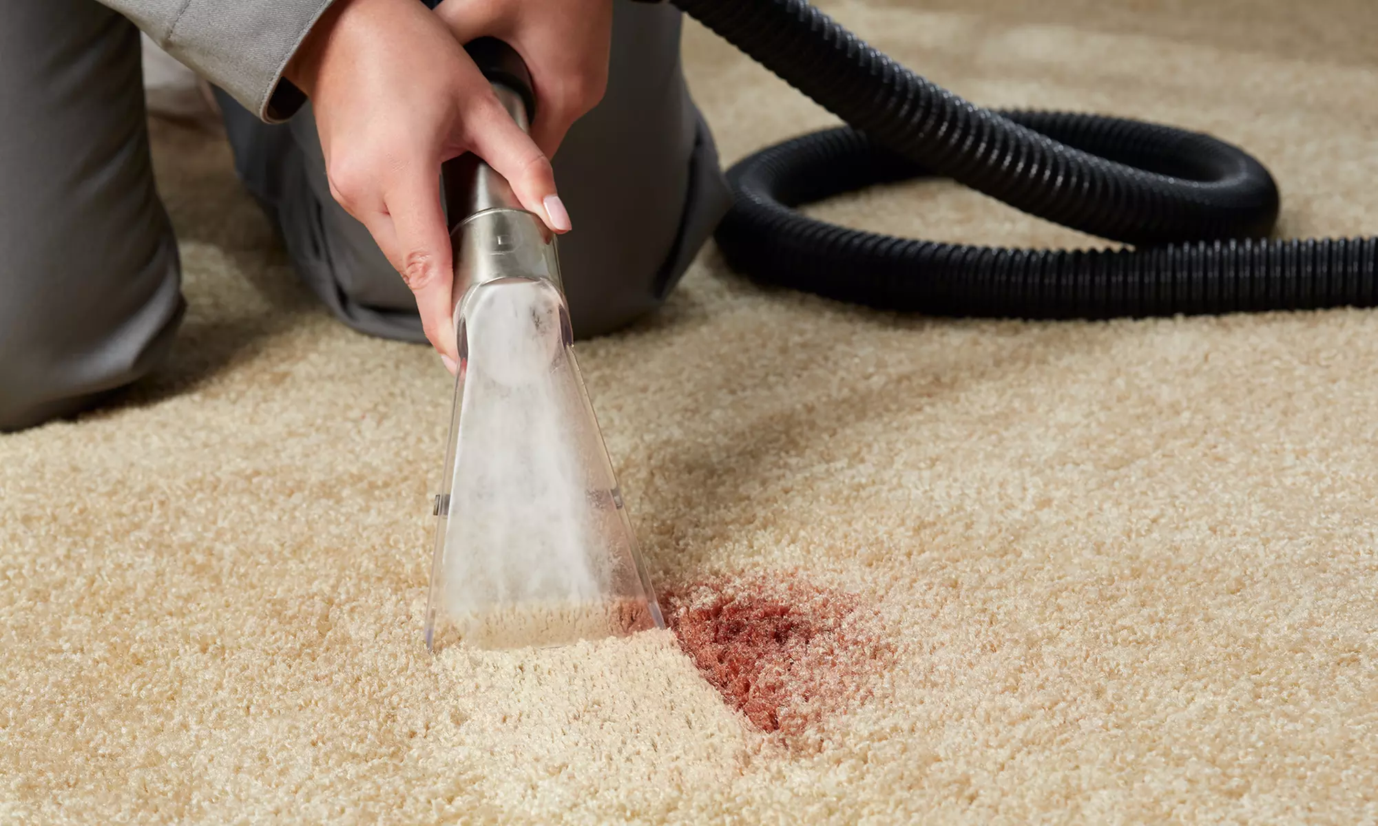 Carpet Cleaning for Up to Three from Beato Carpet Cleaning (Up to 57% Off) - Primary Image