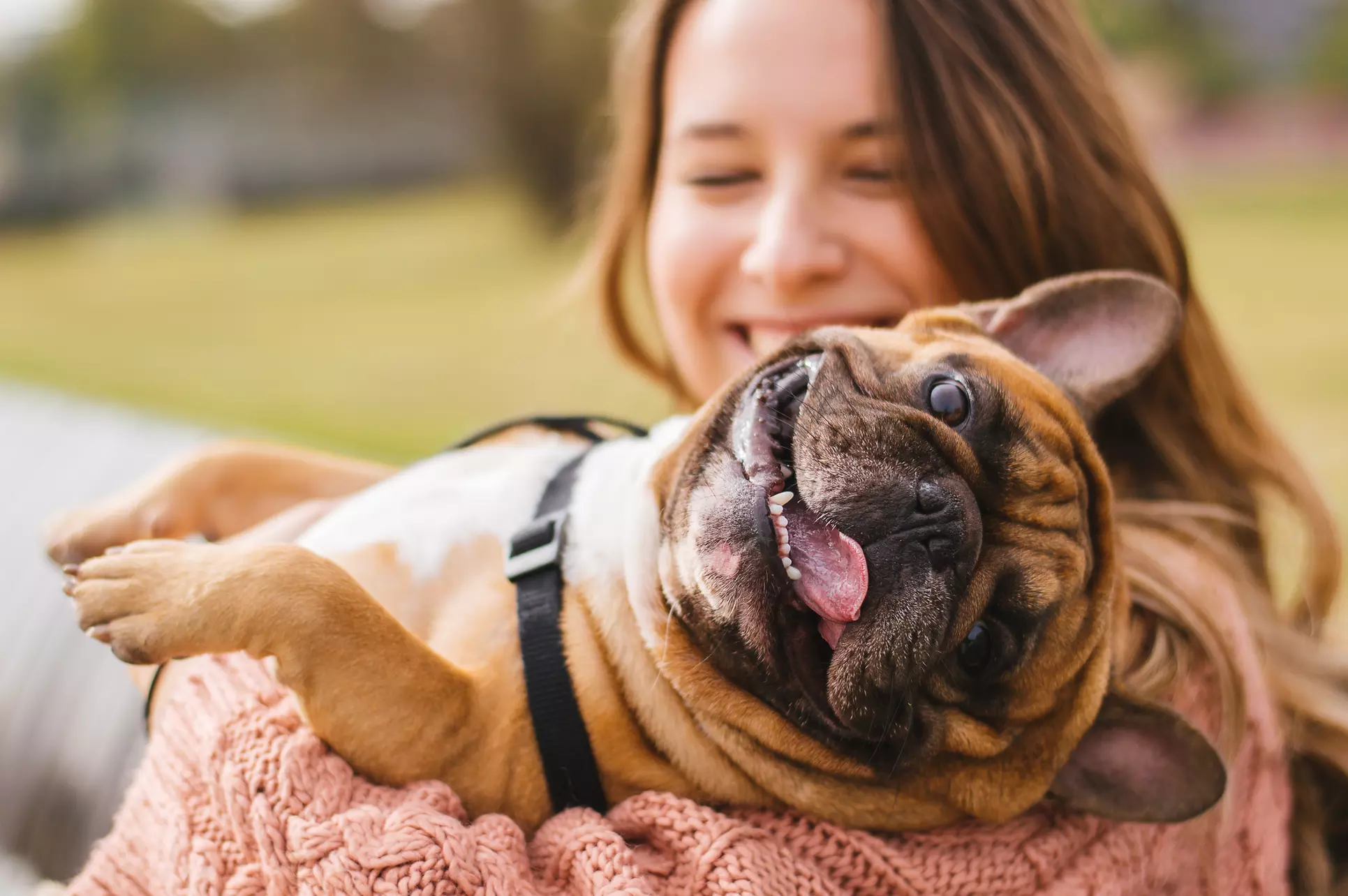 Up to 63% Off on Pet Photography at lolaz Photography - Primary Image