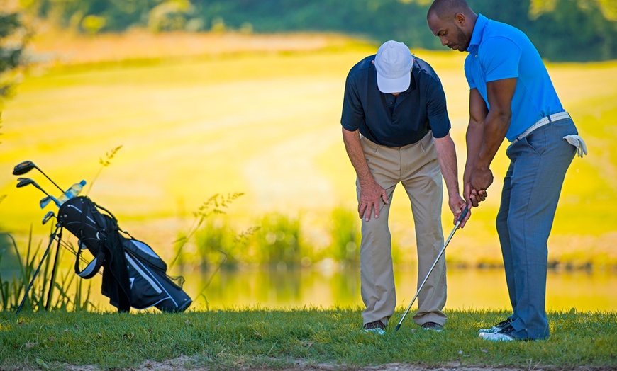 Image 1: One Hour Private Golf Lesson with PGA Legend Donny Lee—1 or 3 Sessions