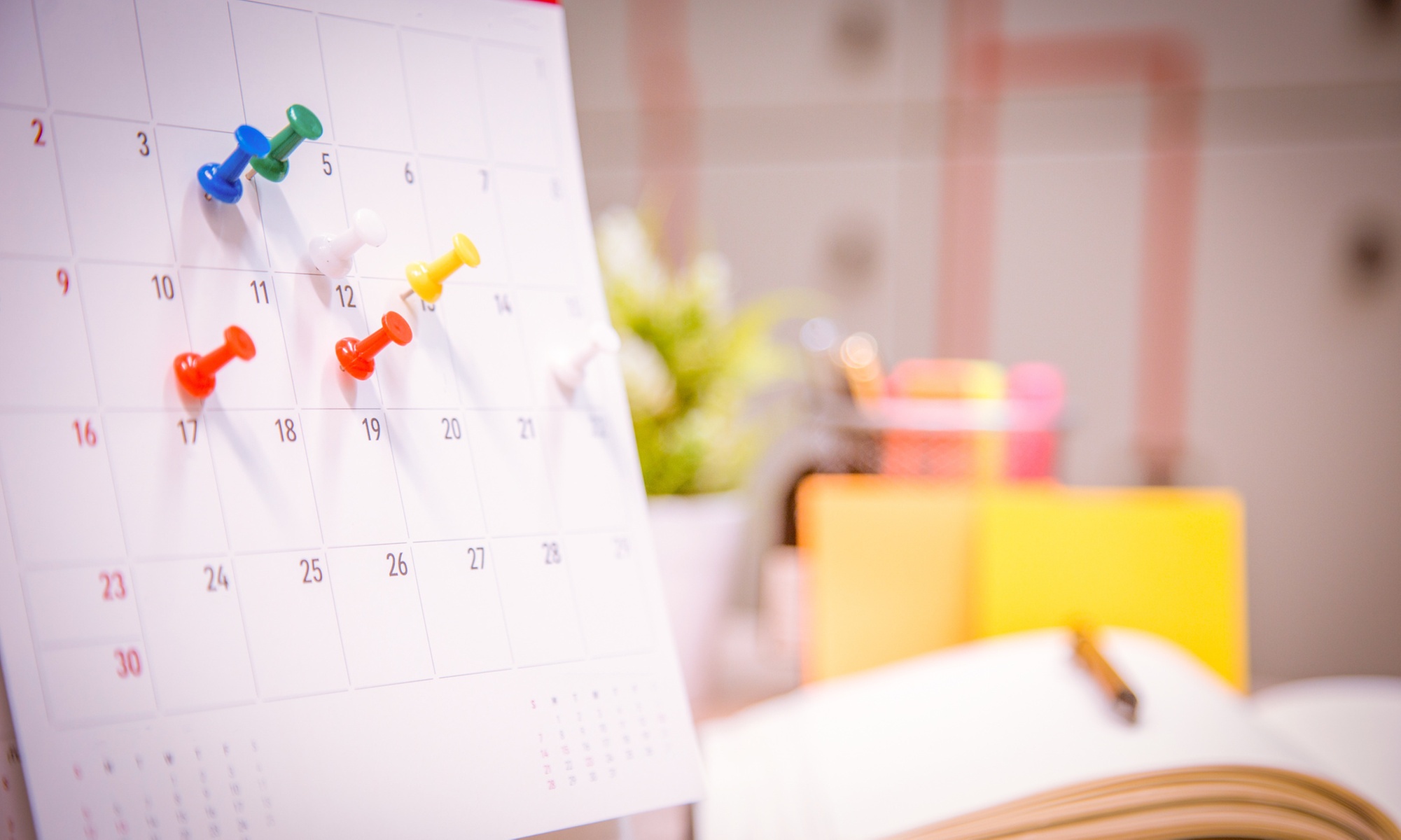 Custom Photo Wall Calendars: A4 or A3 Sizes with Top Binding