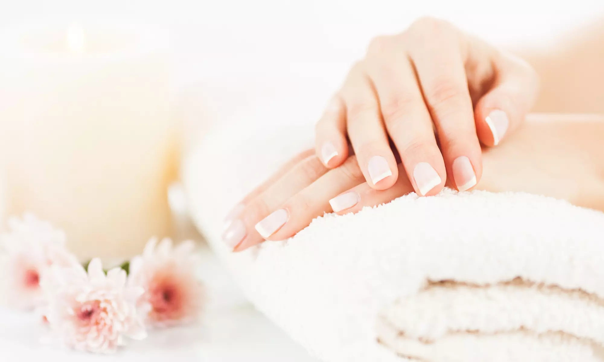 Get perfect Nails with One Manicure, One Shellac Manicure with Optional Removal at Nails by Shan (Up to 55% Off) - Primary Image