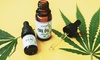 Get Medical Marijuana Card Recertification or Initial Certification Online  At ElevateCareNP (Up to 30% Off)