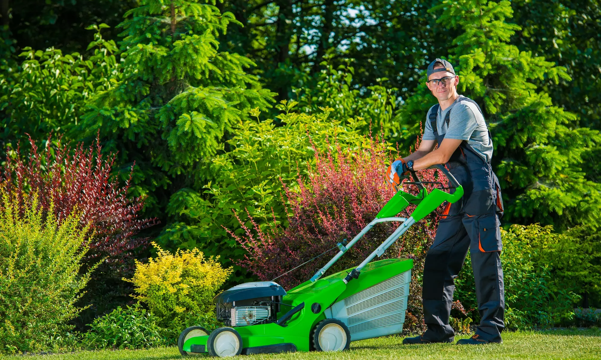 Get $25 Worth of Merchandise Within Gift Shop at Sun's Garden and Landscaping (Up to 50% Off) - Primary Image