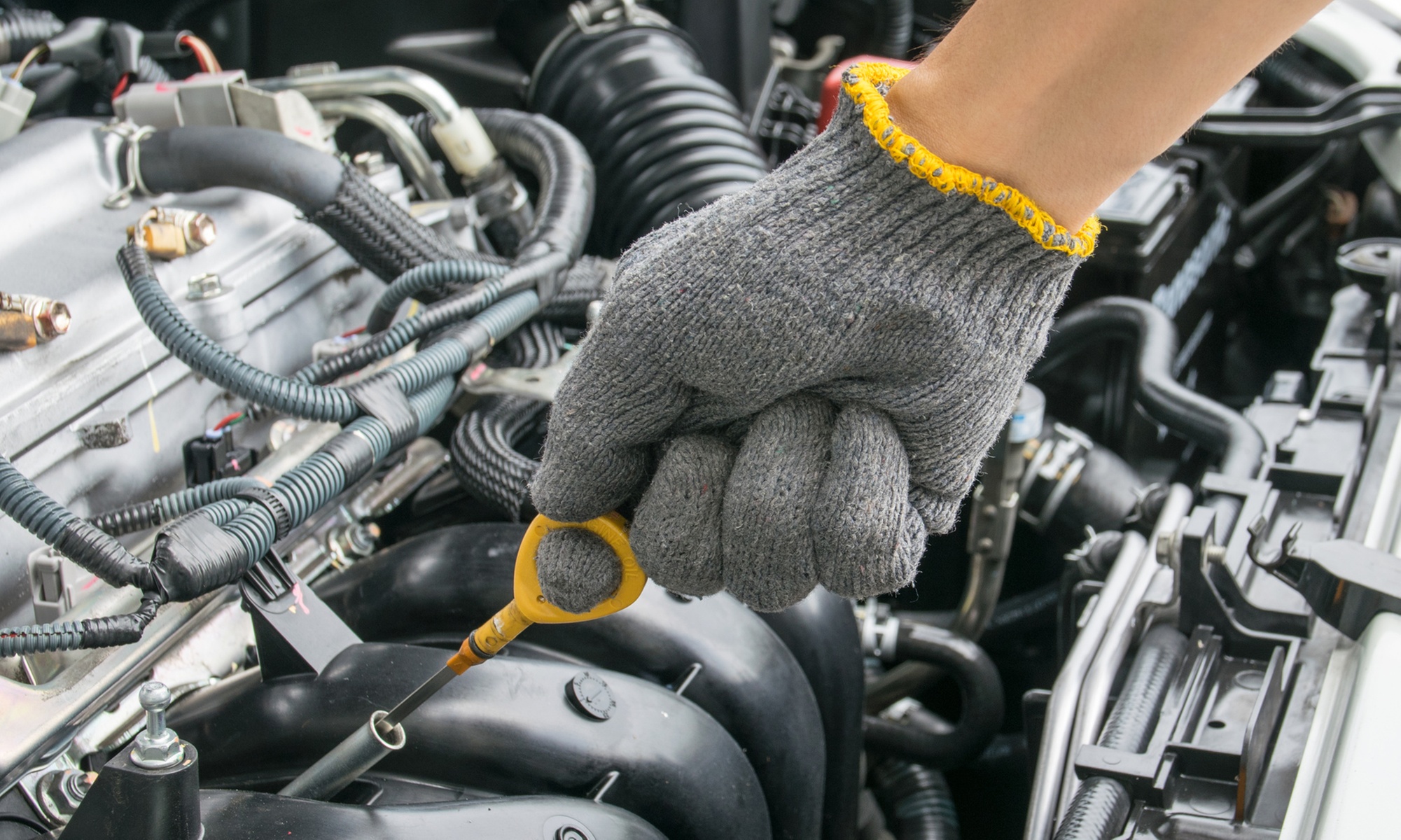 Enjoy Conventional / Synthetic Blend / Full Synthetic Oil Change
