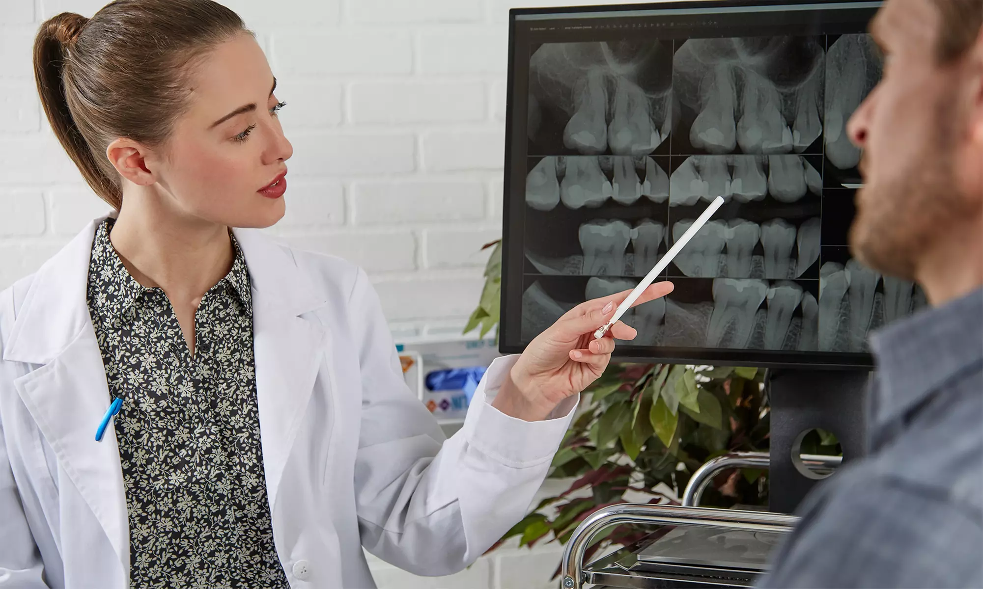 Complete Dental Care: Exam, Cleaning, and X-Rays -  50% Off at Christine Phan - Primary Image