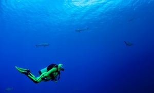 3-Day Open Water Diver Course