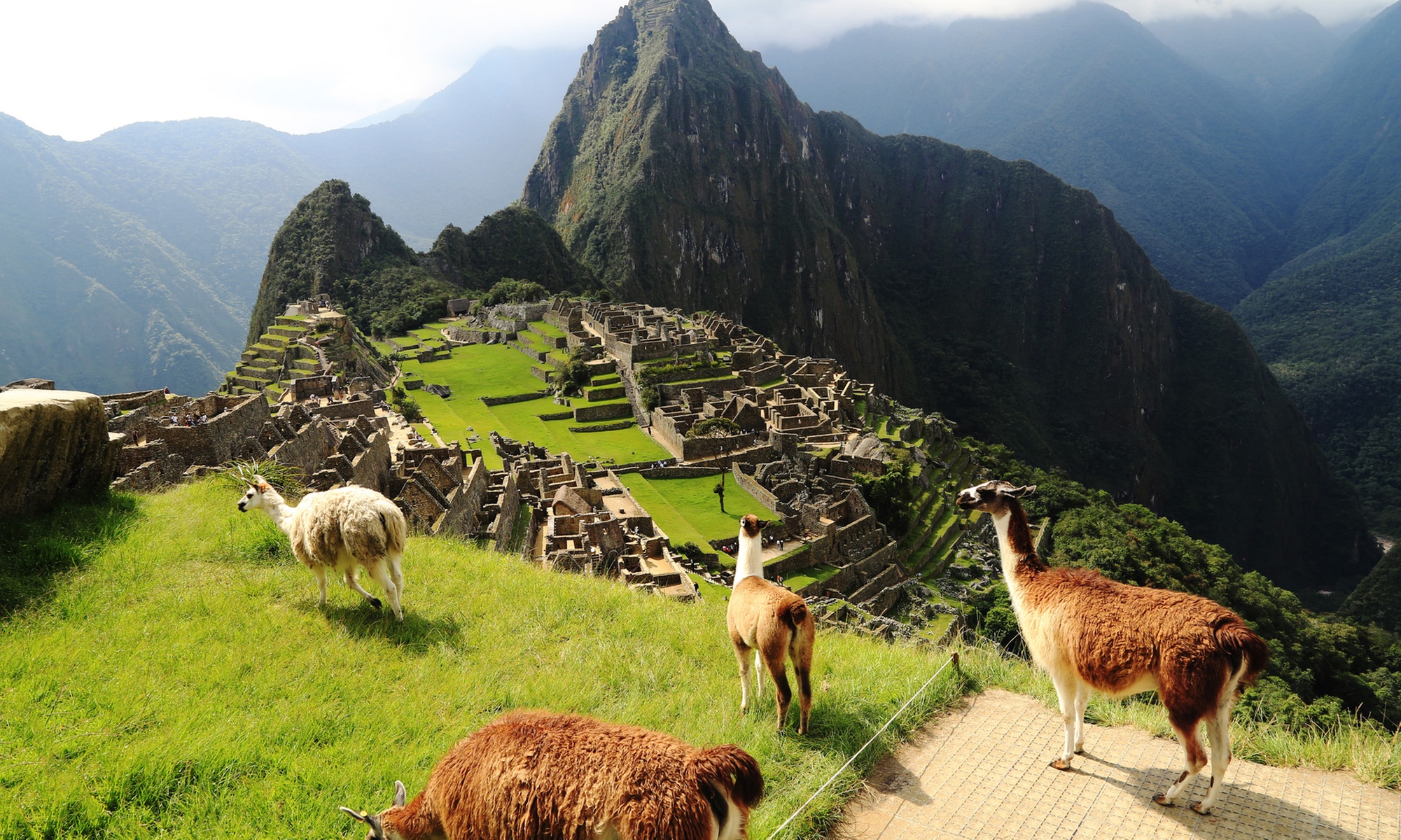 ✈ 8-Day Tour of Peru w/ Hotels & Air. Price is per Person, Based on 2 Guests per Room. Buy One Voucher per Person.