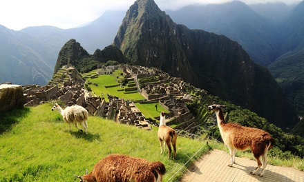 Option 1: Miami (MIA): Depart on certain dates between 11/3/2026-11/10/2026 - 8-Day Tour of Peru w/ Hotels & Air from TripToGo