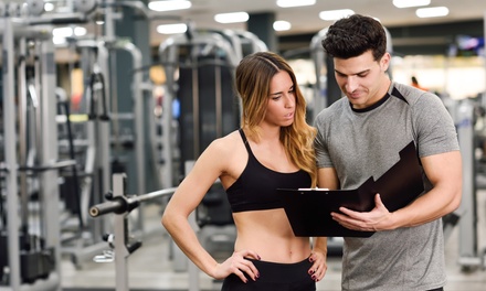 Movement Performance Overhaul- Full Assessment + 4 sessions - Sila Perfomance