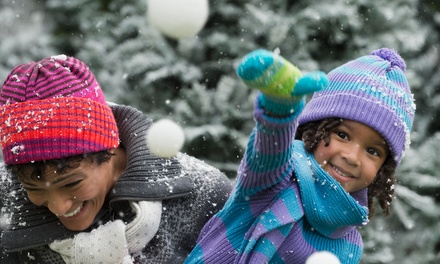 60min. Winter Snowball Fight Arena Admission for 2 - Brainy Actz Tacoma