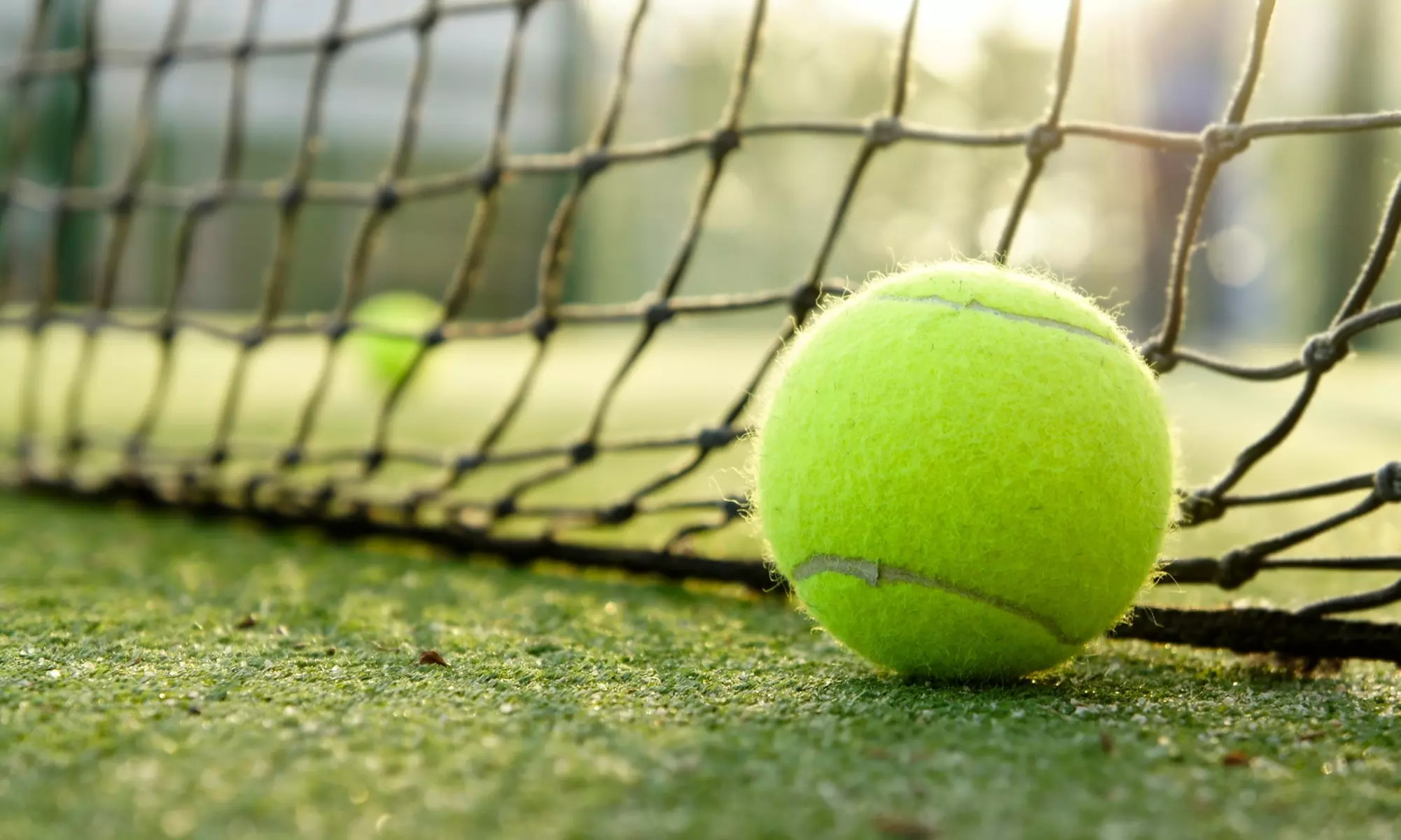 Pickleball Hangout/Party Package: 4–8 Hours of Play for Small or Large Groups at NoHo PickleBall (Up to 70% Off) - Primary Image