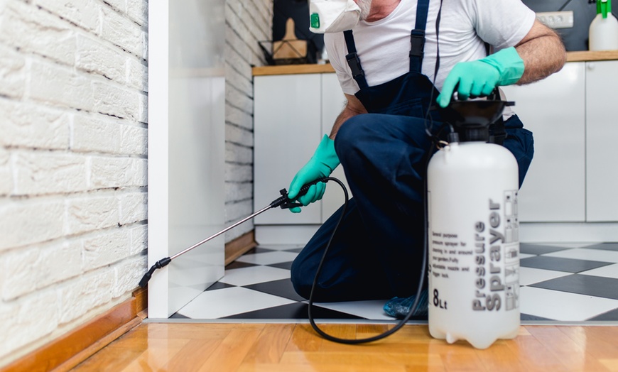 Image 1: Up to 48% Off on  at Bugxen Pest Control and Cleaning Services LLC