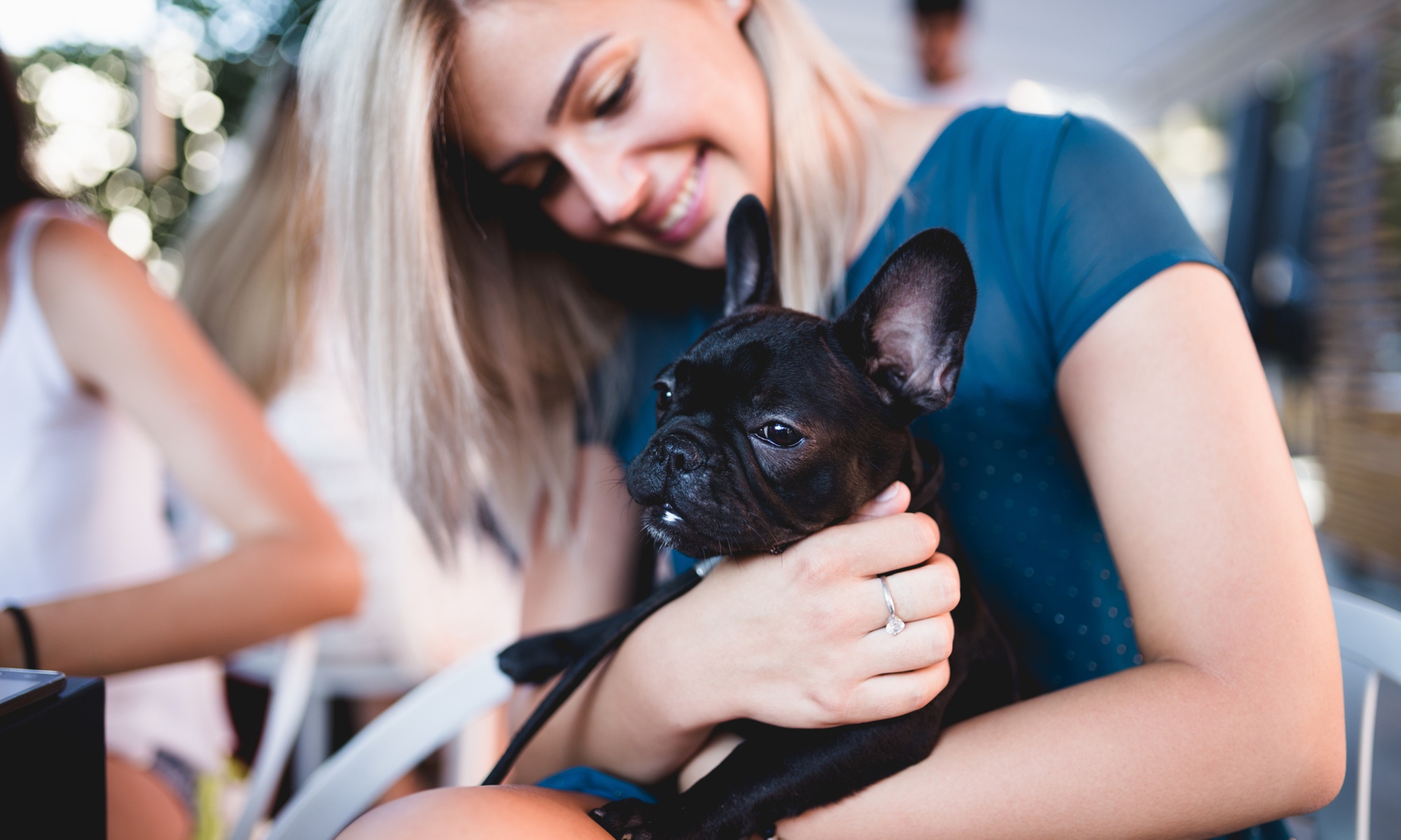 Up to 35% Off on Kennel / Pet Boarding at Sentinel K9