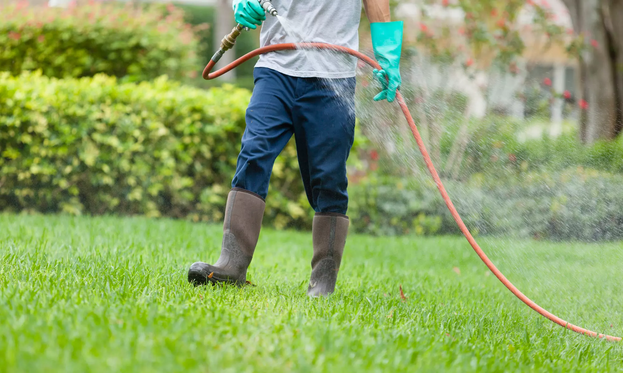 Up to 33% Off on Pest Control Service - General at The Kings Pest Control - Primary Image