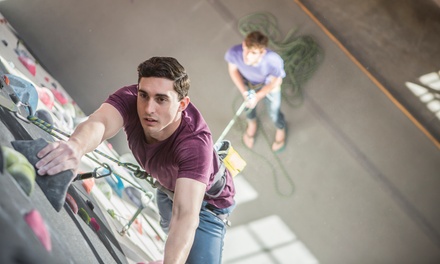 Indoor climbing, High rope course, Bouldering - Skills Pack