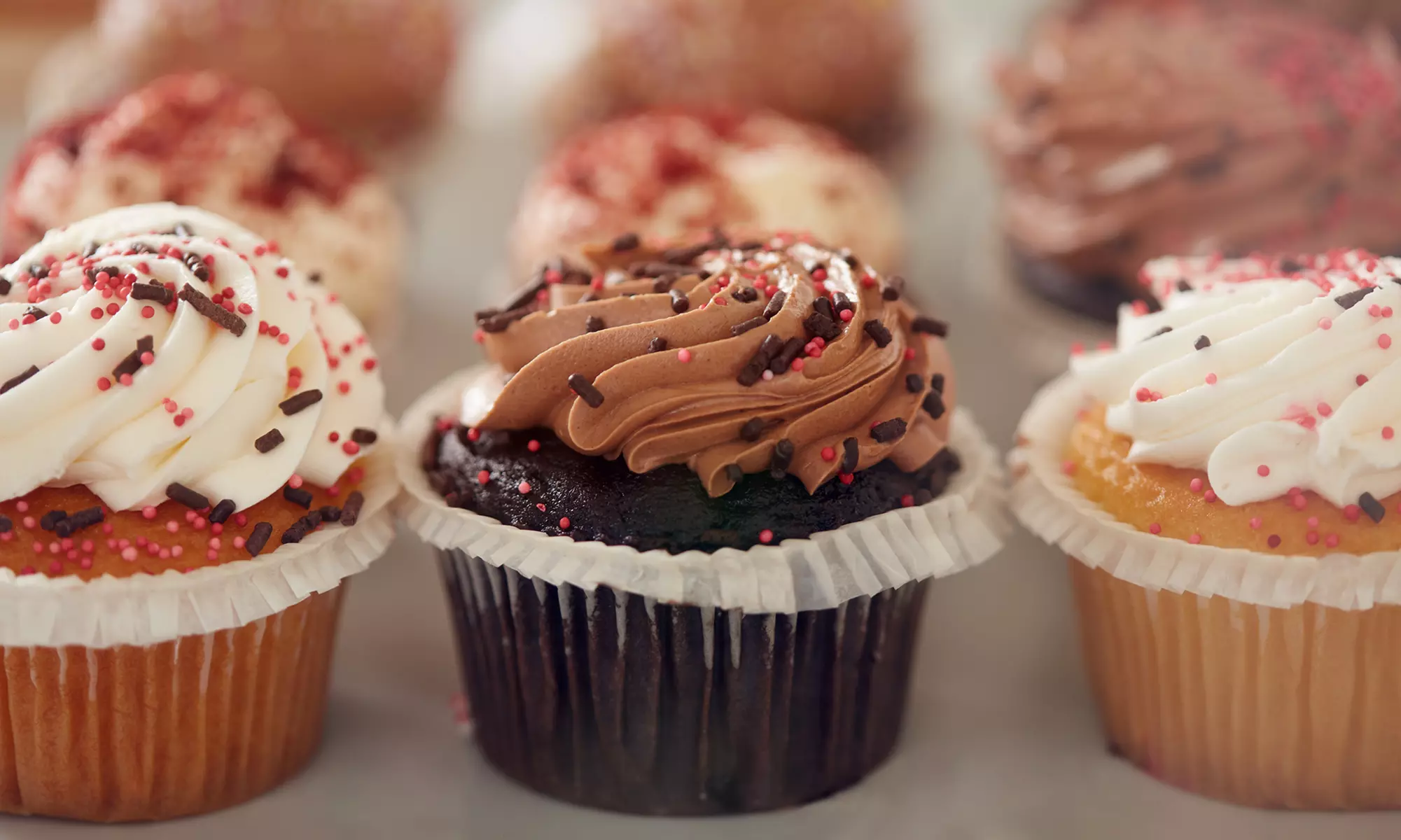 One or Two Dozen Custom Cupcakes at Vanilla Bean Bakery (Up to 47% Off) - Primary Image
