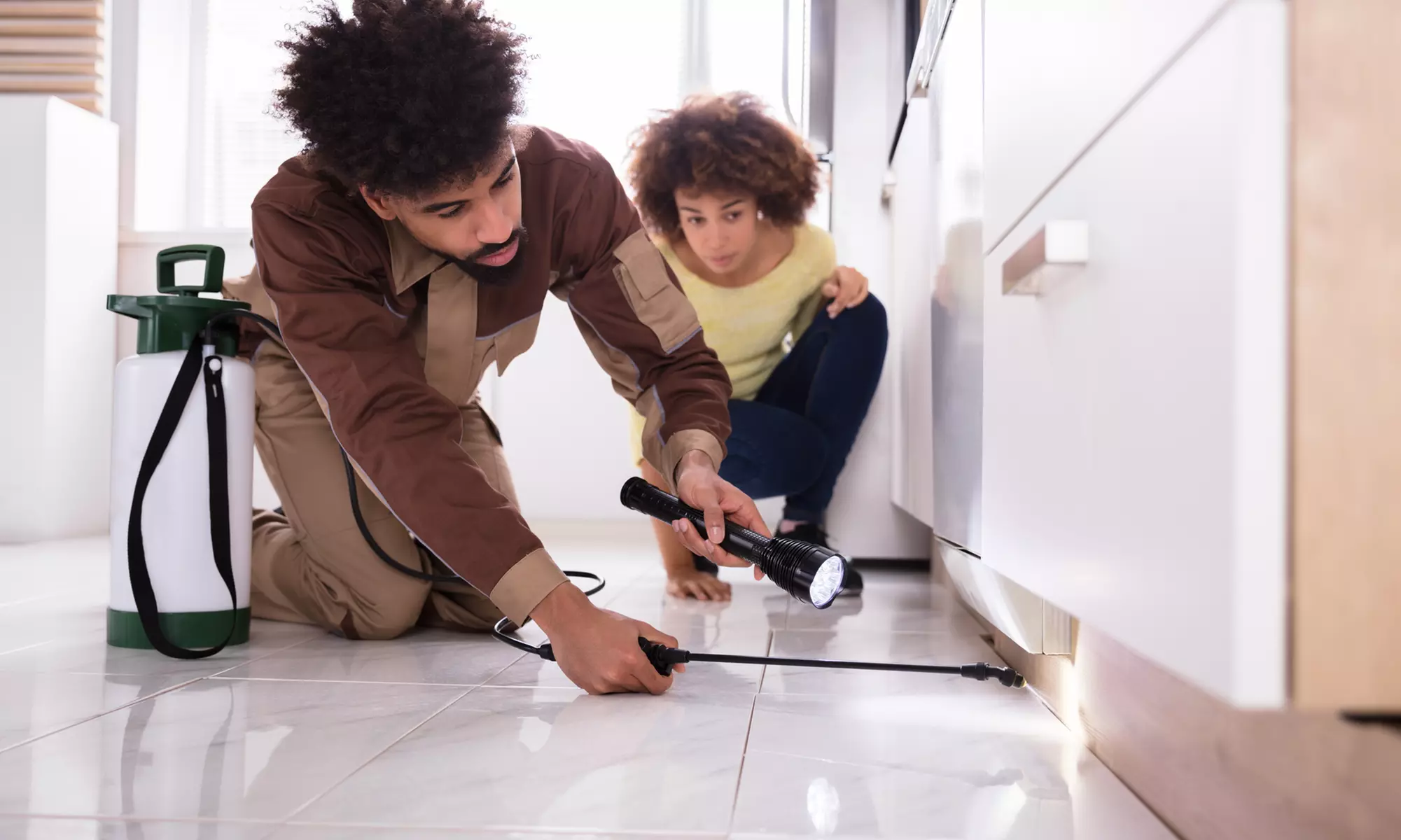 All Things Pest Elimination: Interior & Exterior Pest Control Services up to 46% off - Primary Image