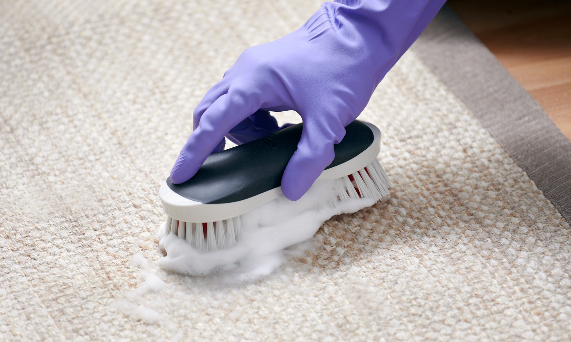 Freshen Up Your Carpets and Upholstery with Expert Cleaning