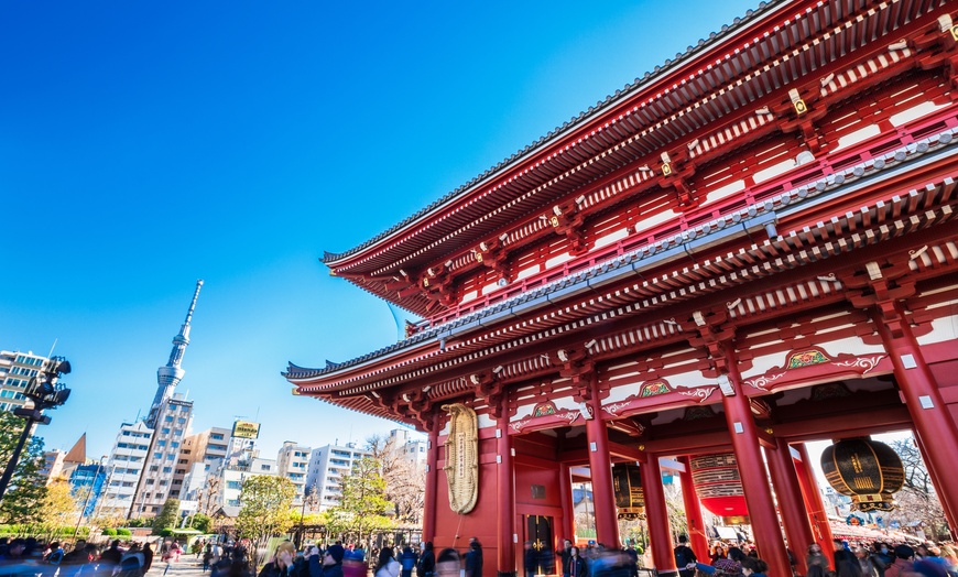 Image 4: ✈ Japan: 8-Day Tour of Tokyo, Kyoto & Osaka with Flights