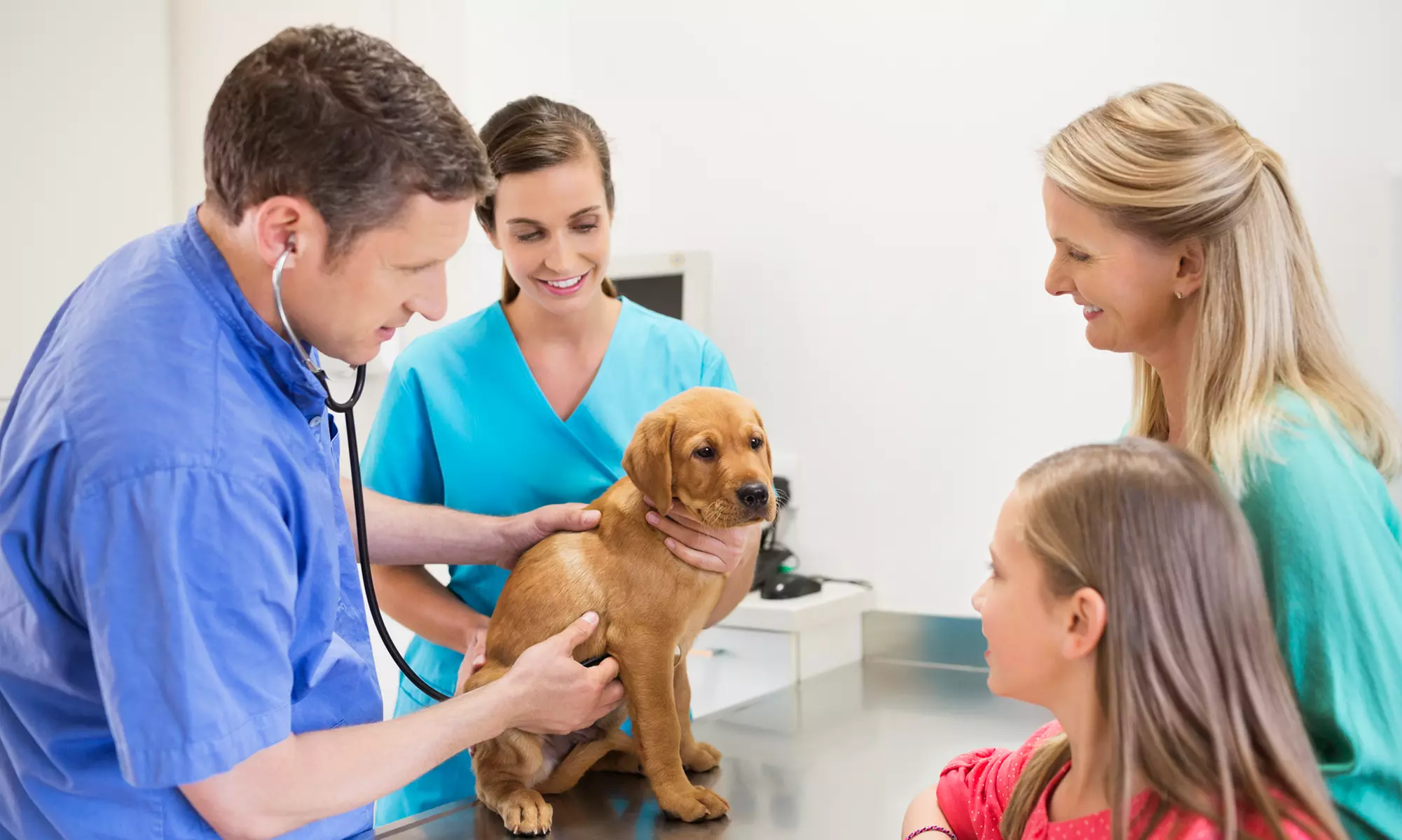 Up to 75% Off on Pet - Home Health Assessment at The Animal Care - Primary Image