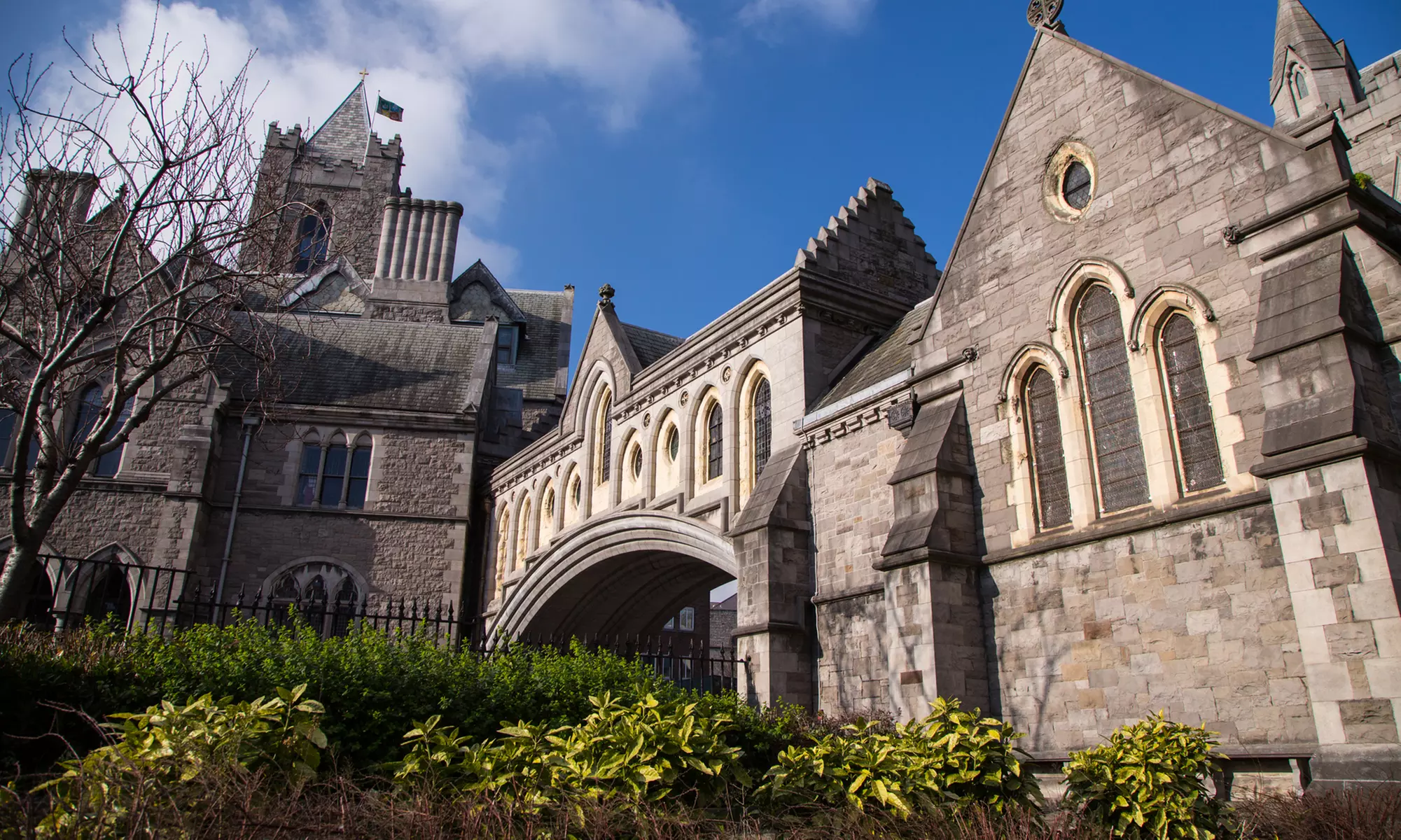 ✈ 8-Day Ireland Vacation. Price is per Person, Based on Two Guests per Room. Buy One Voucher per Person. - Primary Image