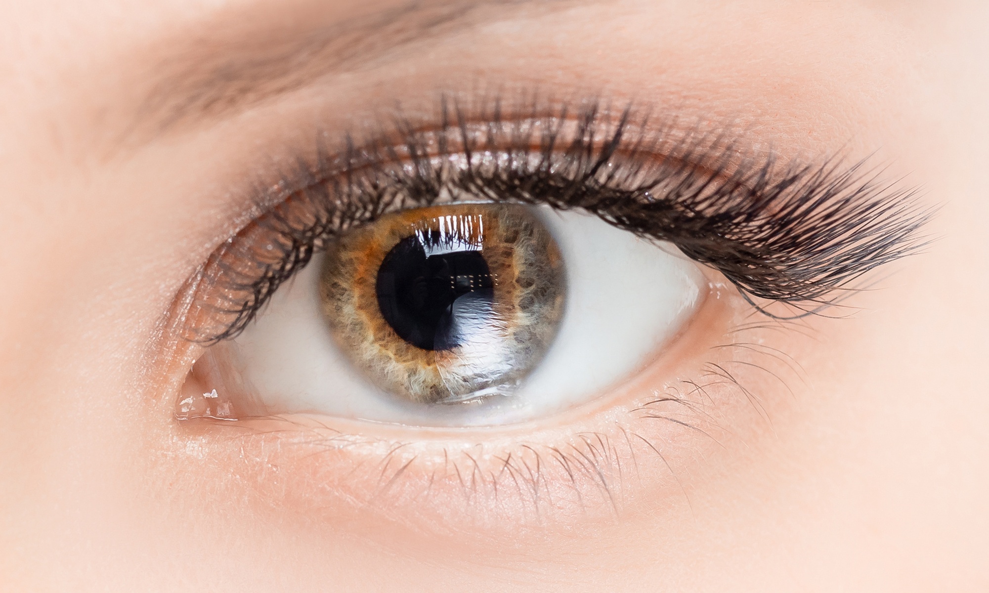 Up to 46% Off on Eyebrow Extensions at The Lash
