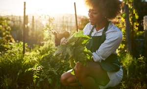 Agricultural Science Course At Alpha Academy