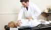 Experience Healing Hands of Newtown's chiropractic sessions with up to 37% off, offering consultations and adjustments.
